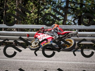 202508031058-DSC_2978_c2