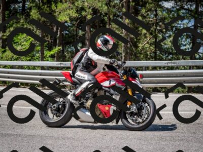 202508031059-DSC_2981_c2