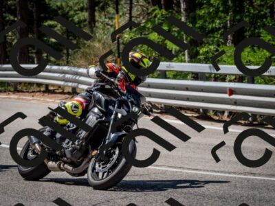 202508031059-DSC_2984_c2