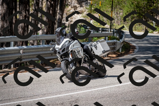 202508031100-DSC_2993_c2