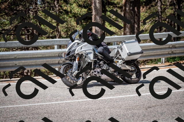 202508031100-DSC_2994_c2