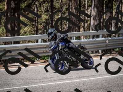 202508031100-DSC_2995_c2