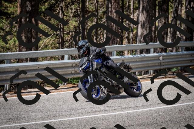 202508031100-DSC_2995_c2