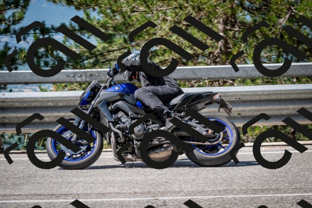 202508031100-DSC_2996_c2