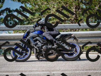 202508031100-DSC_2996_c2