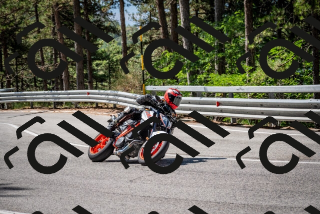 202508031100-DSC_3000-2_c2