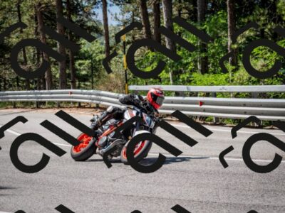 202508031100-DSC_3000-2_c2