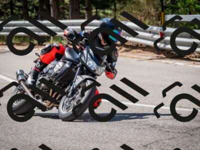 202508031100-DSC_3002_c2