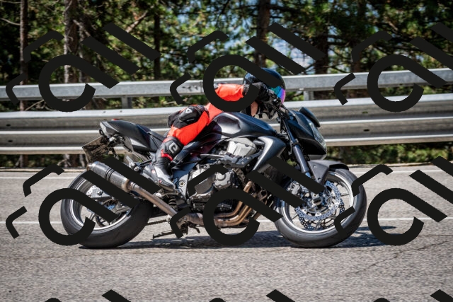 202508031100-DSC_3003_c2