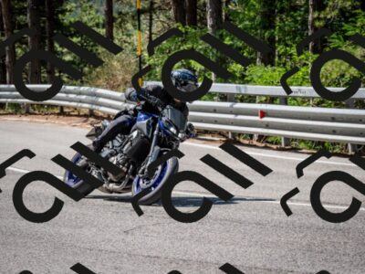 202508031105-DSC_3014_c2