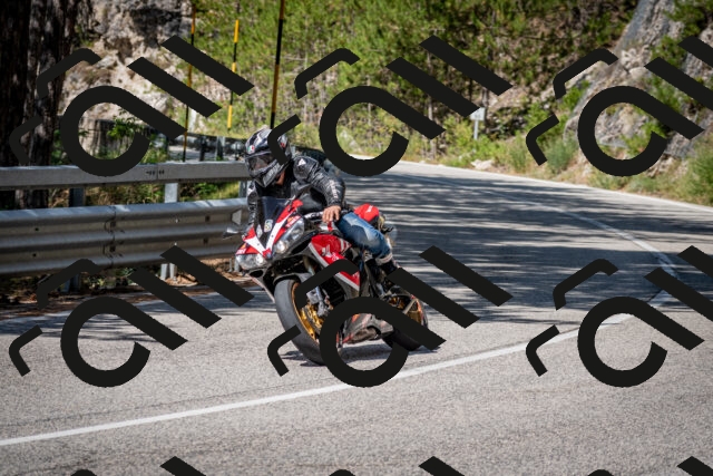 202508031108-DSC_3018_c2