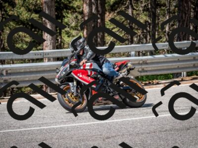 202508031108-DSC_3019_c2