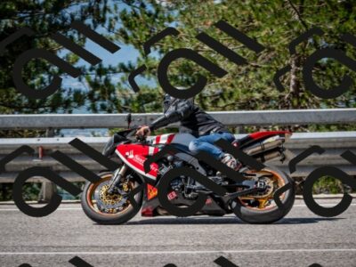 202508031108-DSC_3020_c2