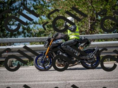 202508031109-DSC_3031_c2