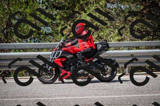 202508031109-DSC_3032_c2