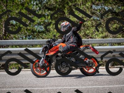 202508031109-DSC_3033_c2