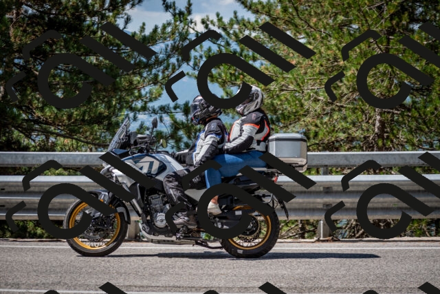 202508031110-DSC_3038_c2