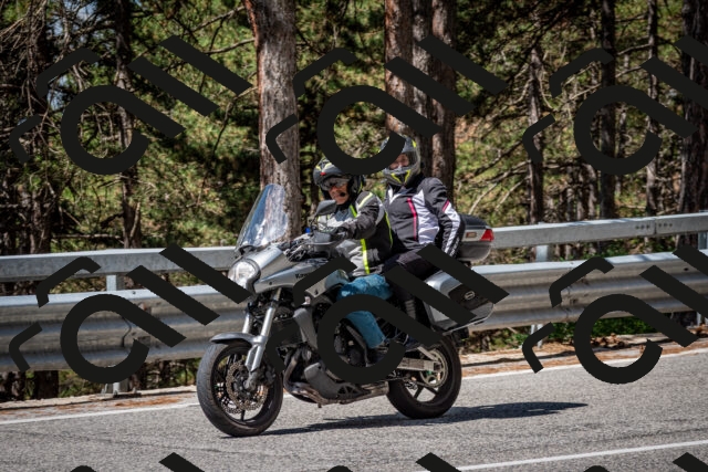 202508031110-DSC_3042-2_c2