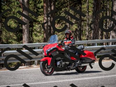 202508031110-DSC_3043-2_c2