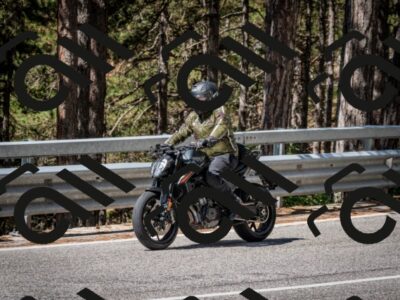 202508031110-DSC_3045_c2