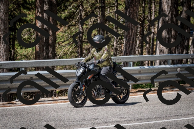 202508031110-DSC_3045_c2