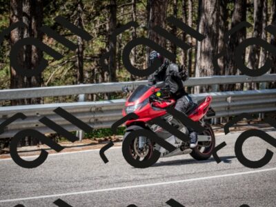 202508031110-DSC_3047_c2