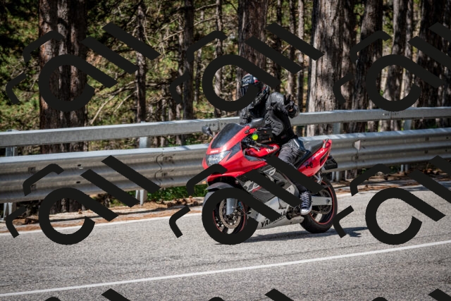 202508031110-DSC_3047_c2