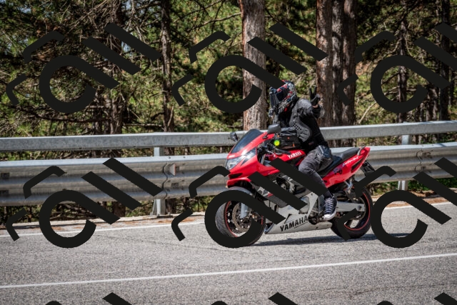 202508031110-DSC_3048_c2