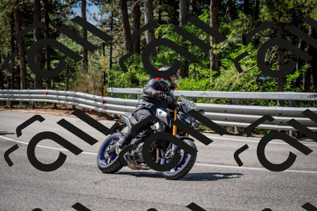 202508031110-DSC_3063_c2