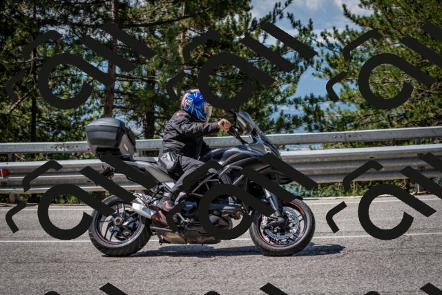 202508031110-DSC_3065_c2