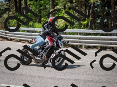 202508031112-DSC_3095_c2