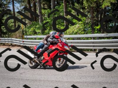 202508031112-DSC_3100_c2