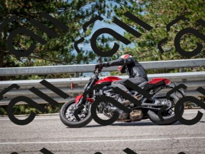 202508031112-DSC_3103_c2