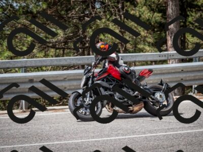 202508031115-DSC_3141_c2