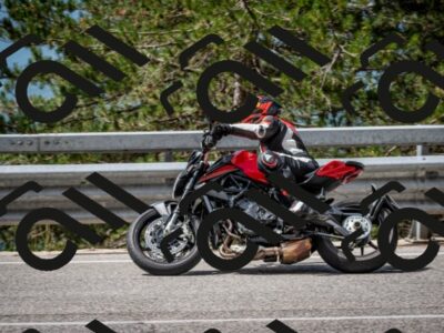 202508031115-DSC_3142_c2