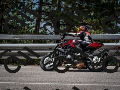 202508031115-DSC_3143-2_c2