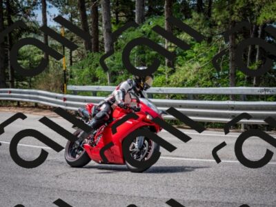 202508031117-DSC_3170_c2