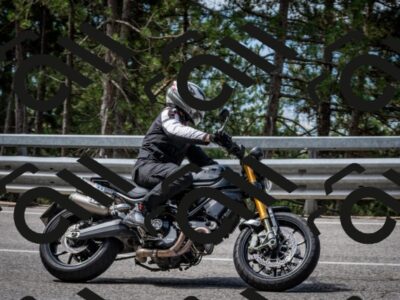 202508031118-DSC_3177_c2