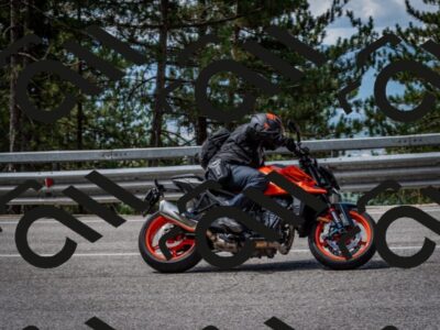 202508031118-DSC_3178_c2