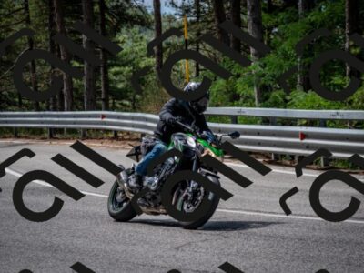 202508031118-DSC_3184_c2