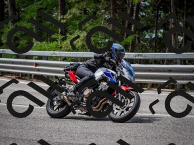 202508031128-DSC_3311_c2