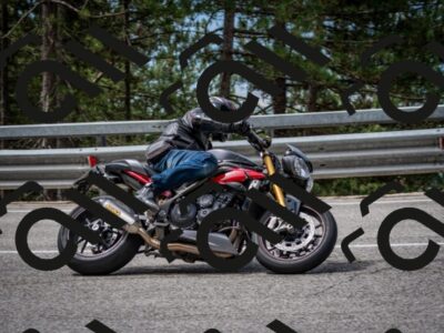 202508031129-DSC_3322_c2