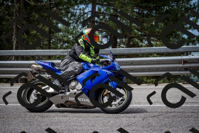 202508031130-DSC_3325_c2