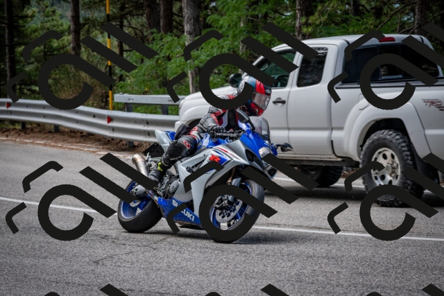 202508031132-DSC_3329_c2