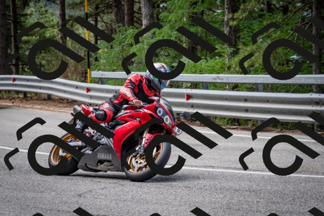 202508031132-DSC_3332-2_c2