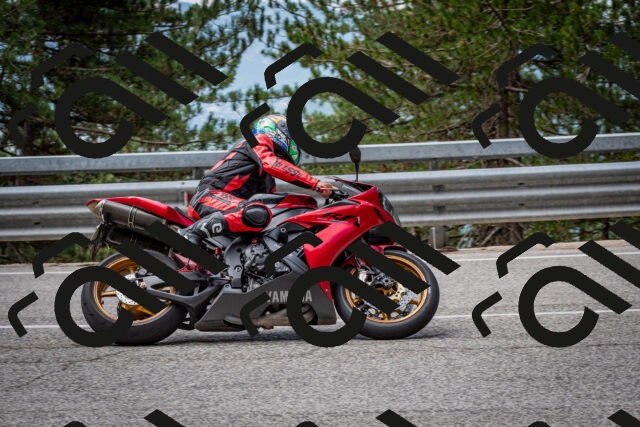 202508031132-DSC_3334_c2