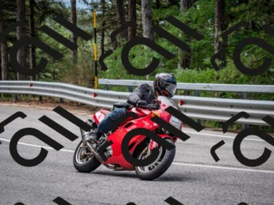 202508031133-DSC_3335_c2