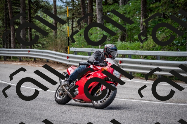 202508031133-DSC_3335_c2