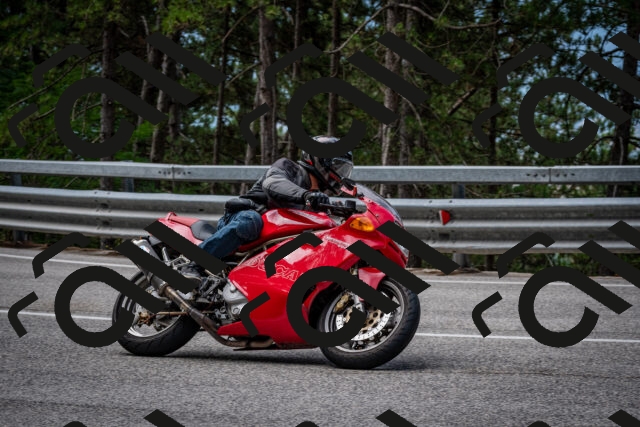 202508031133-DSC_3336_c2