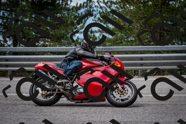 202508031133-DSC_3337_c2